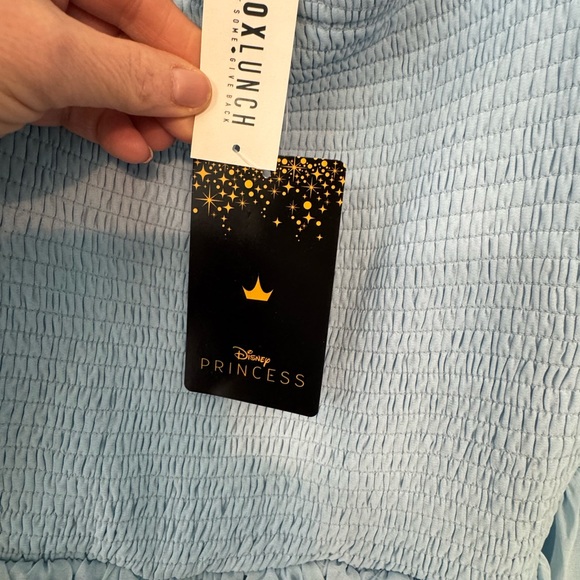 BNWT-Disney Mulan (& Little Brother) Light Blue Embroidered Mini Dress - Picture 10 of 12